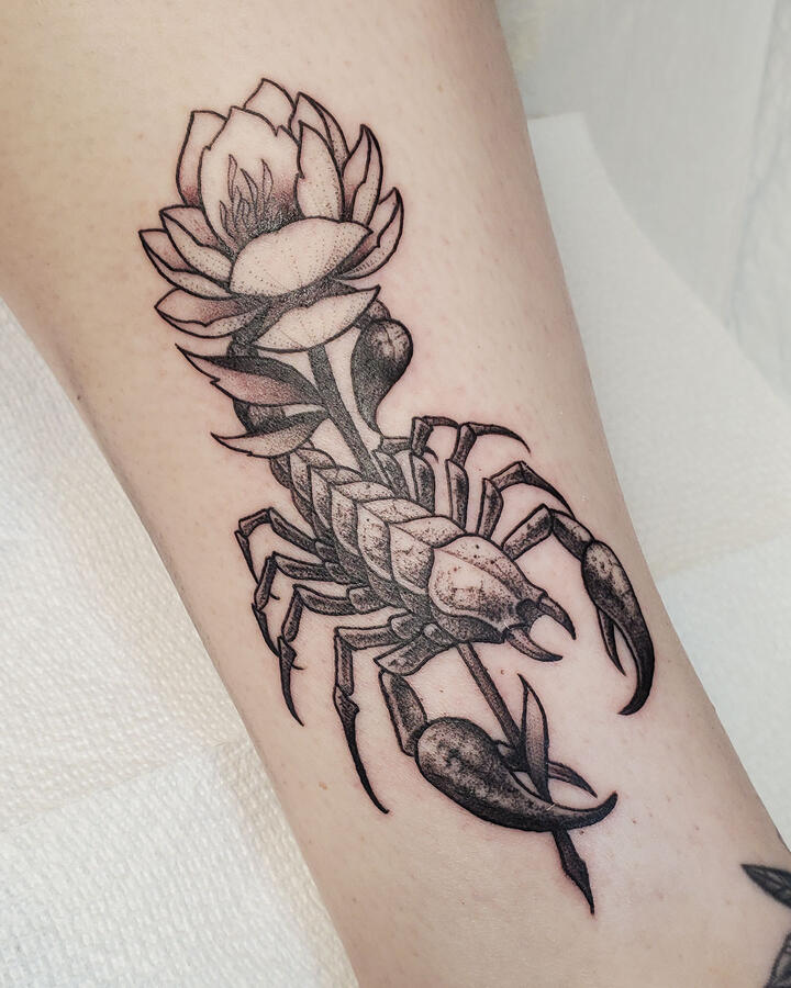 scorpion // flower